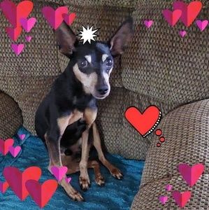 Meet your Posher, Rosemarie